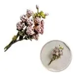 889f17bf286c2e518dace69255fe7cee