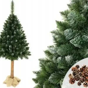 6c0d9c2a025d0342aef74cec2da52b61