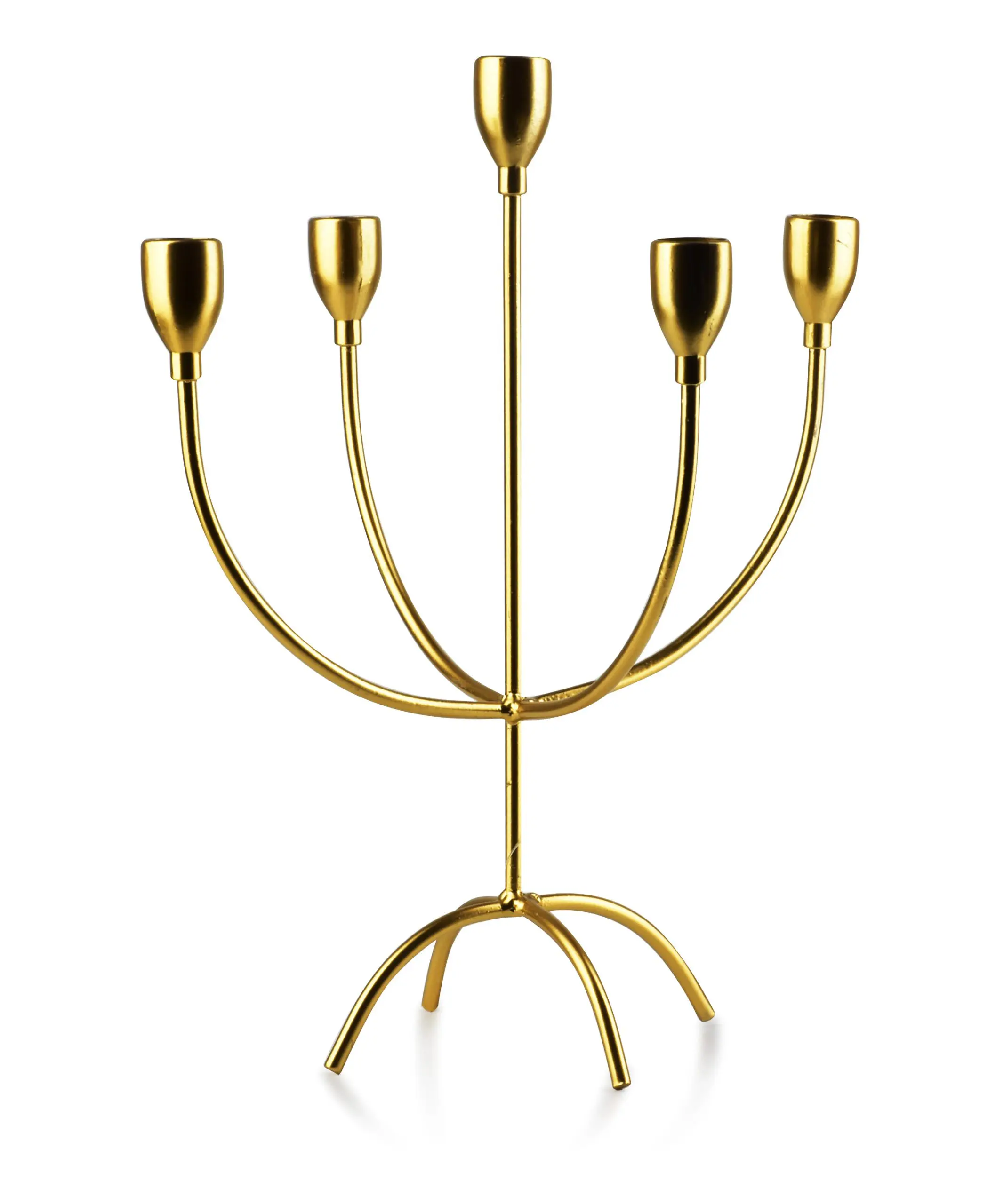 36e8c631c2da5b5ce926c0f5d528a3c0