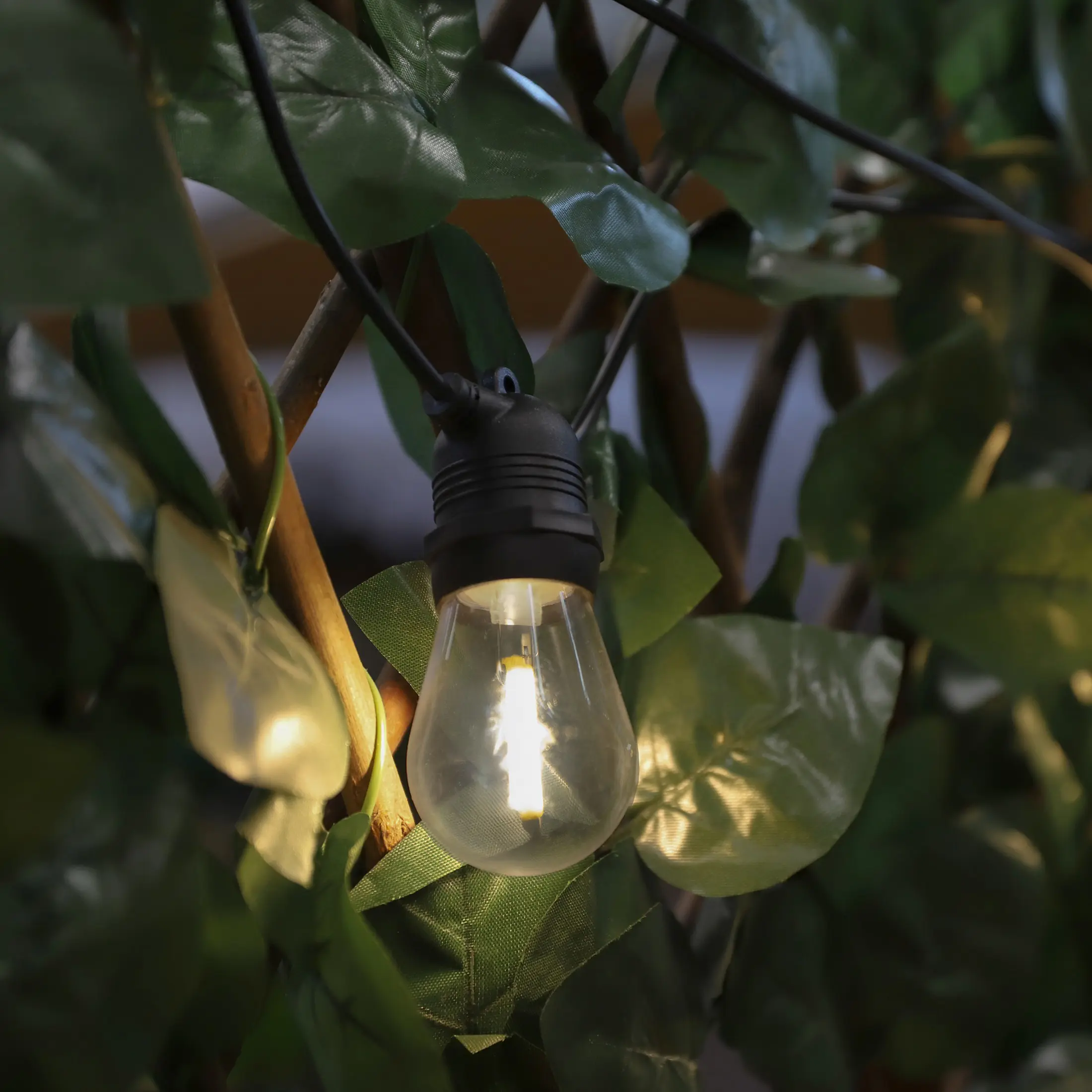 524ec0aaa558041341772bea368edcd3-5.jpg 43cfb4052db9e1ae7cbc419c77c16952