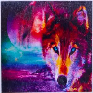 2f58782f0721cdab9197284fb156b170