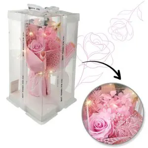 5ccaf7580064ce42c8f25326528b9895